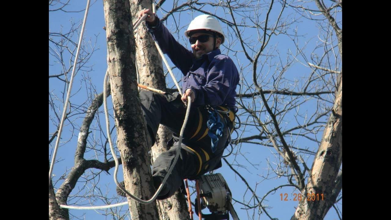 ArborJacks Tree Service