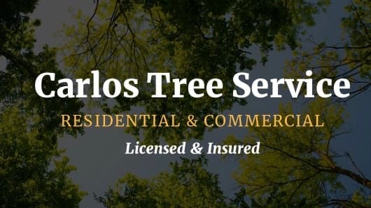 Carlos Tree Service