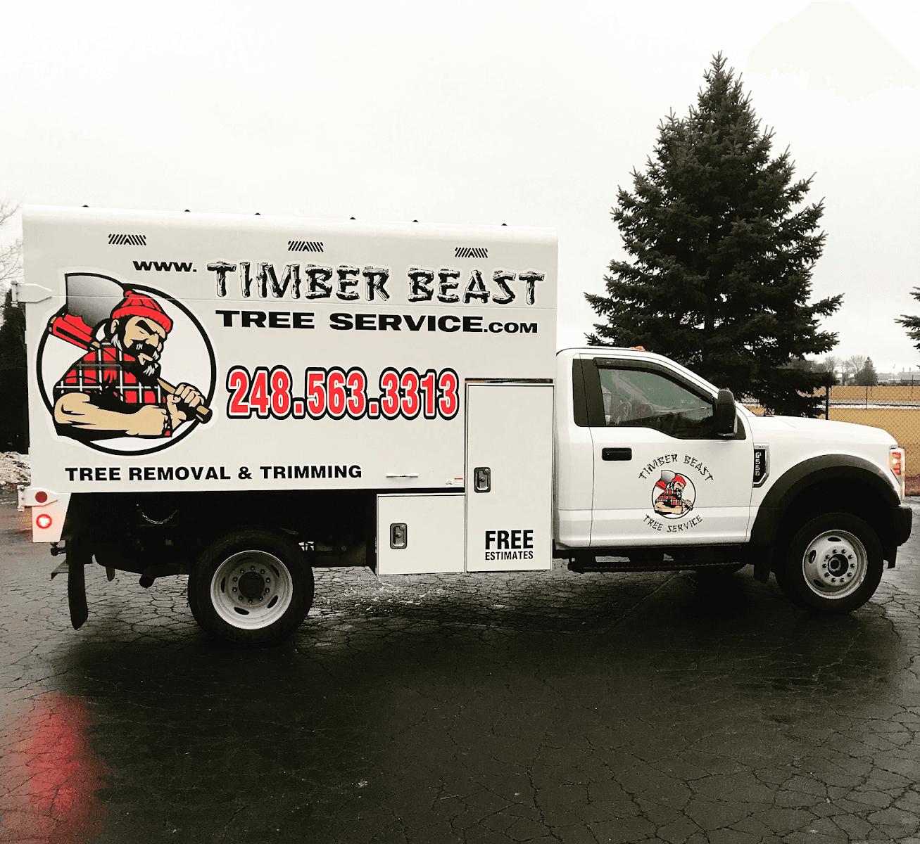 Timber Beast Tree Service