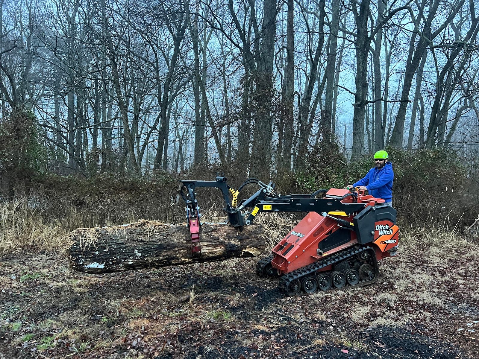 Fly With Freedom Tree Service, LLC