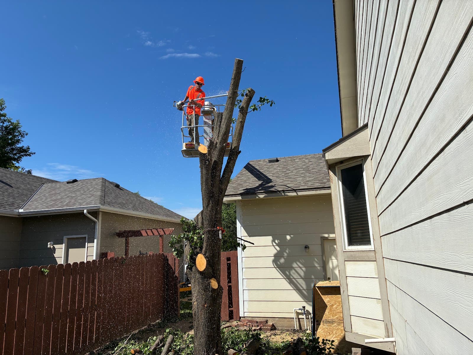 TreeTime Services LLC