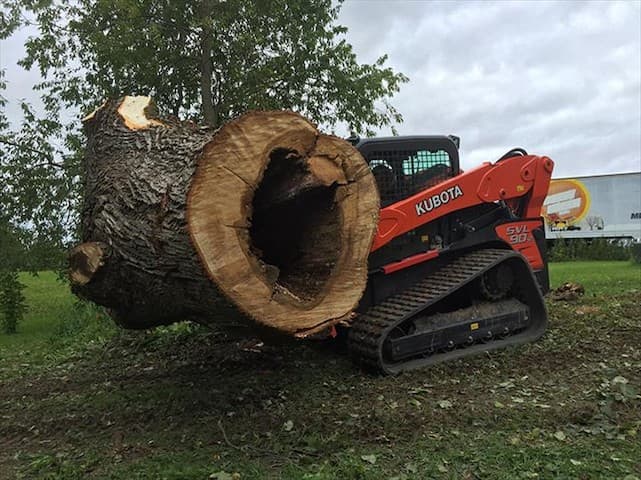 Shackleton Tree Service, L.L.C,.