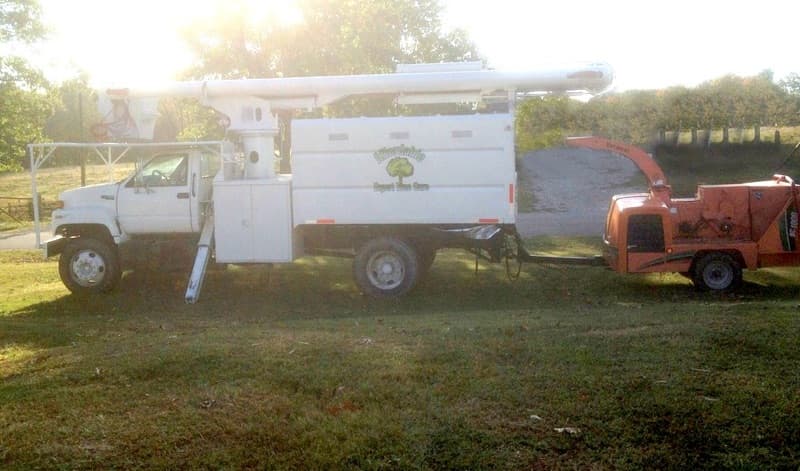 Affordable Expert Tree Care