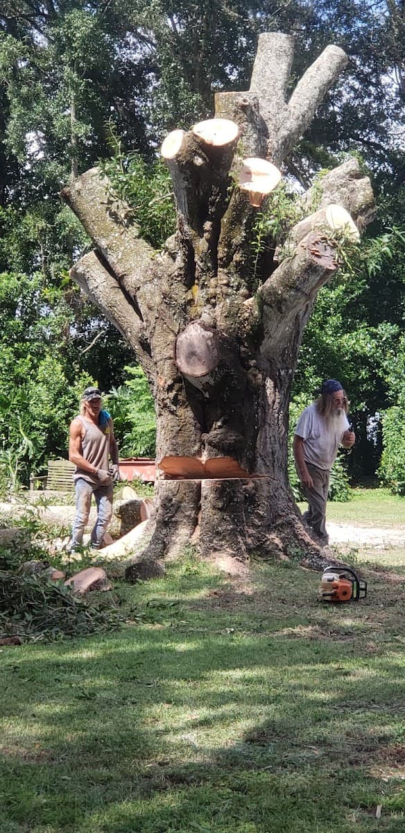 Joe's Tree Service Inc