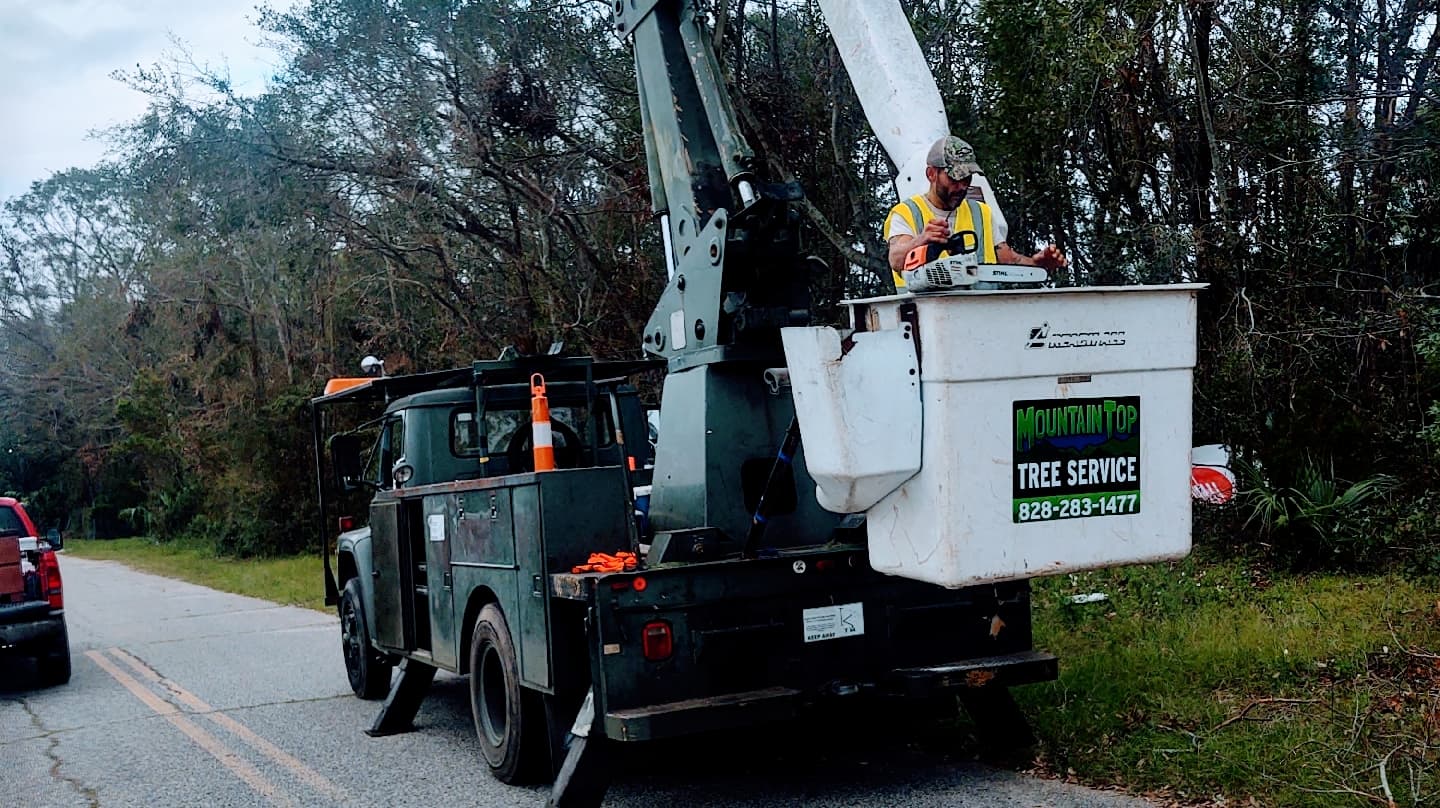 Mountain Top Tree Service, LLC