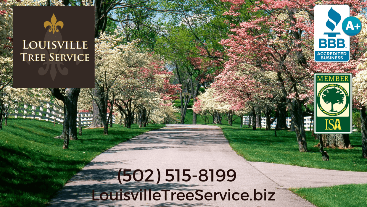 Louisville Tree Service, LLC
