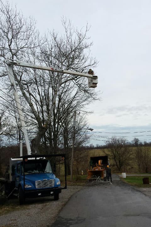 Hinman Tree Service, L.L.C.