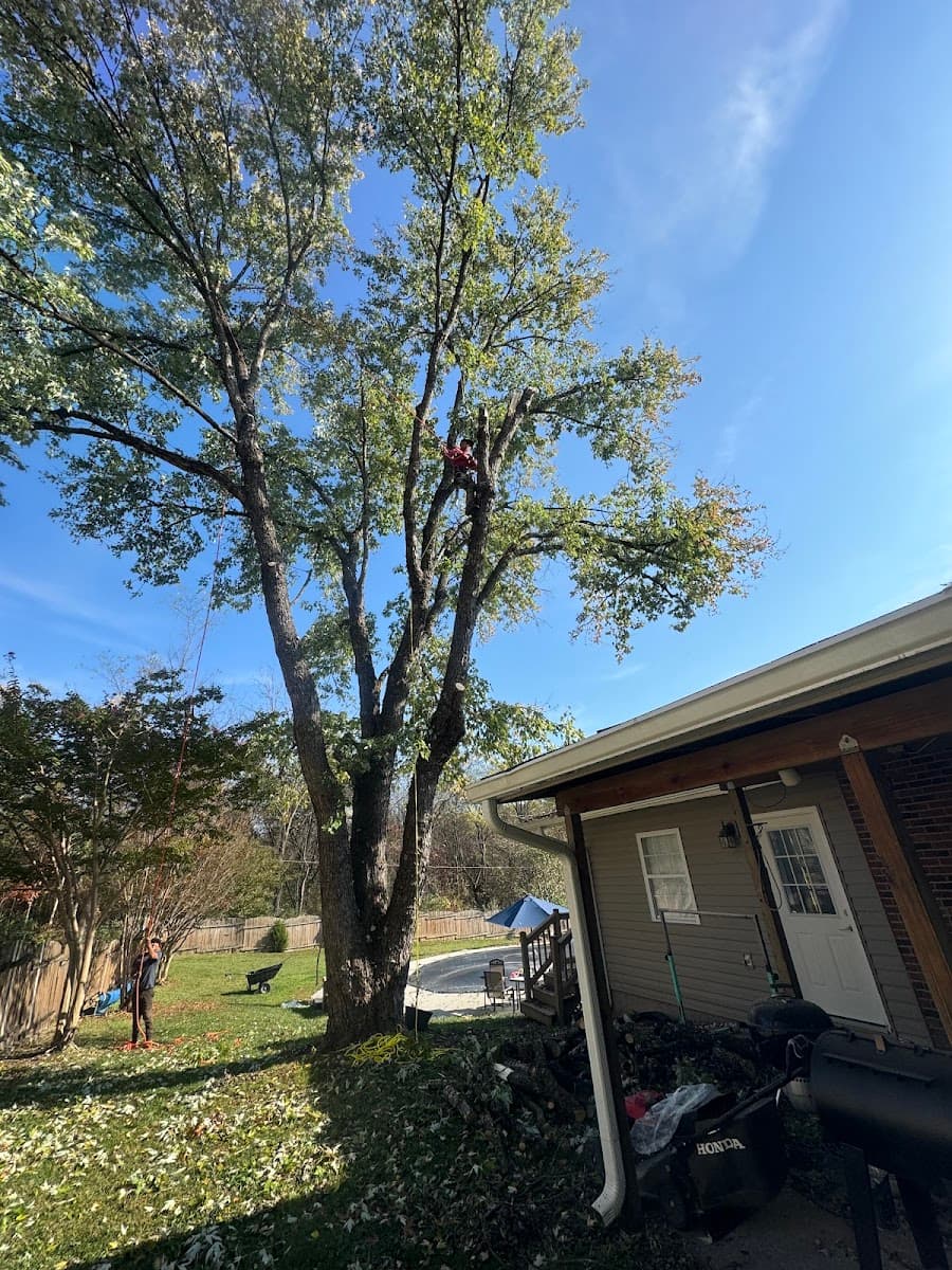 Tolbert's Tree Service