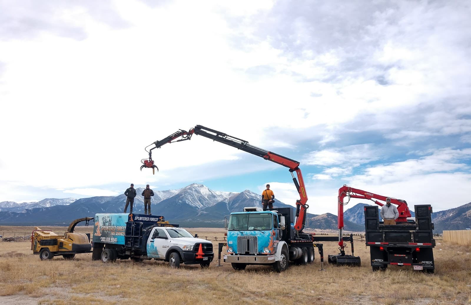 Splintered Forest Tree Services