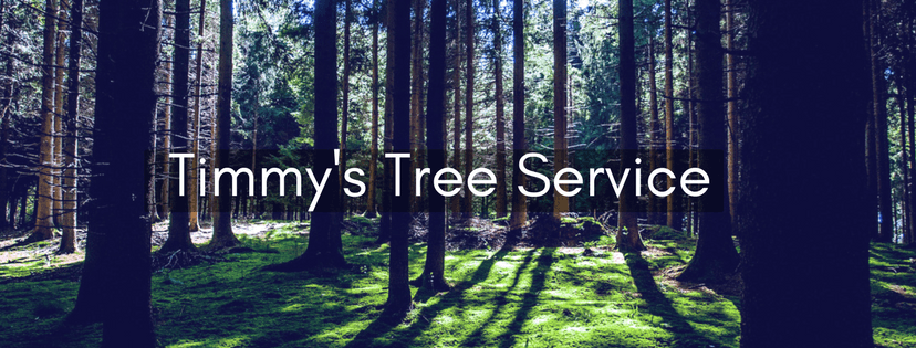 Timmy's Tree Service