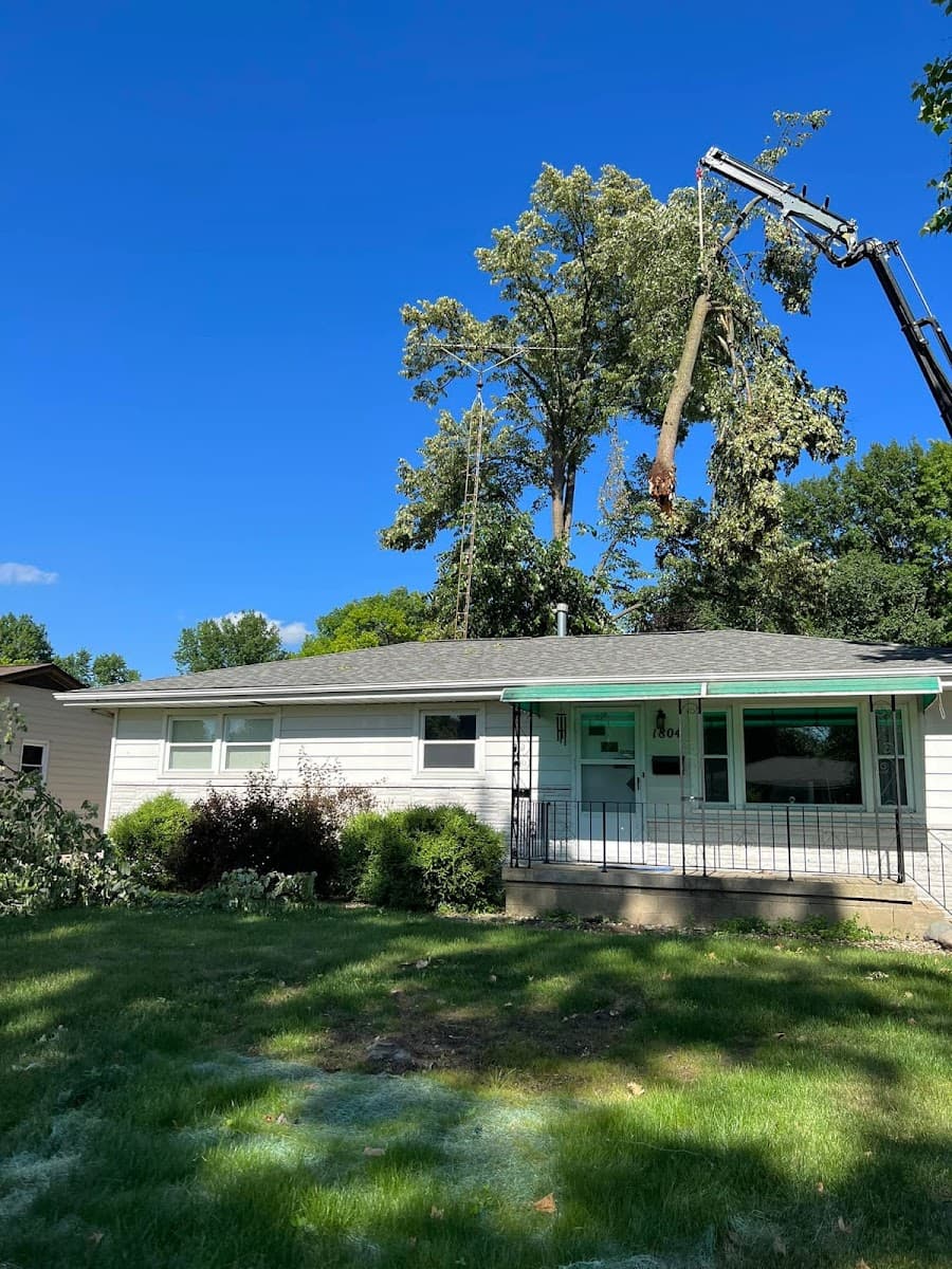 Hawthorne Tree Service