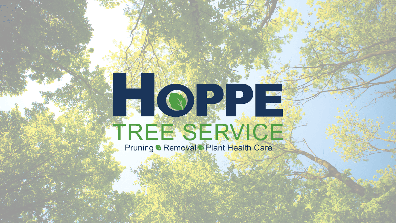 Hoppe Tree Service