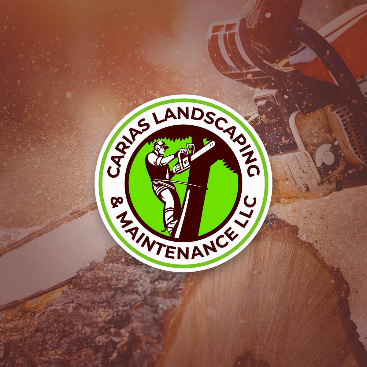 Carias Landscaping and Maintenance