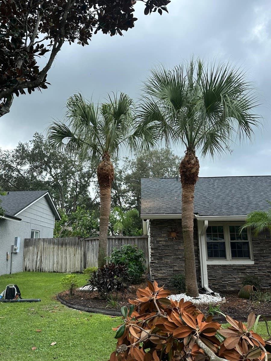 Premier Outdoor Tree Services