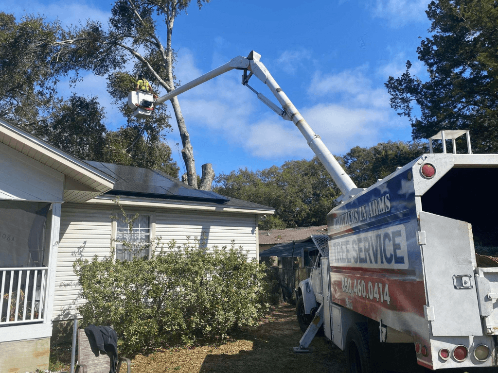 Brothers In Arms Tree Services