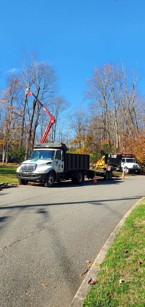 Green Point Tree Services