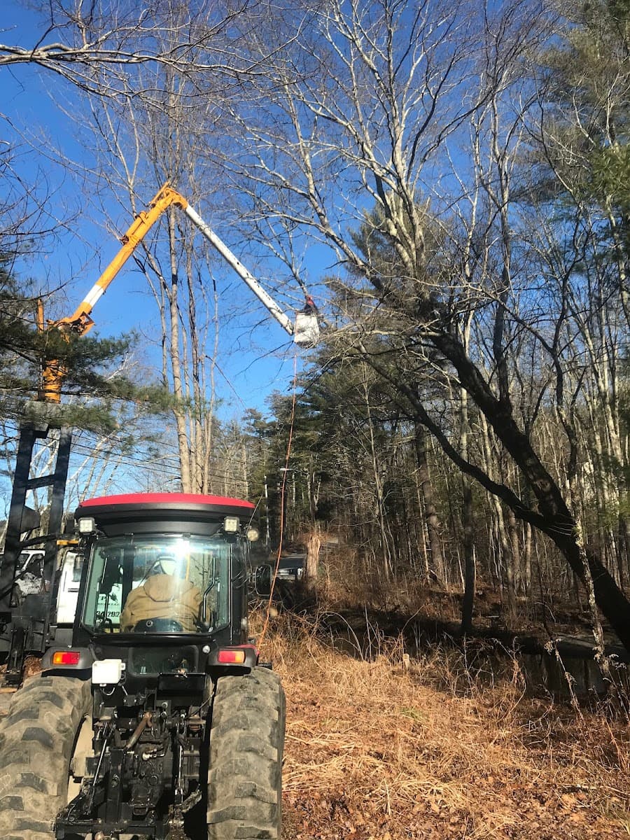JP Tree Services