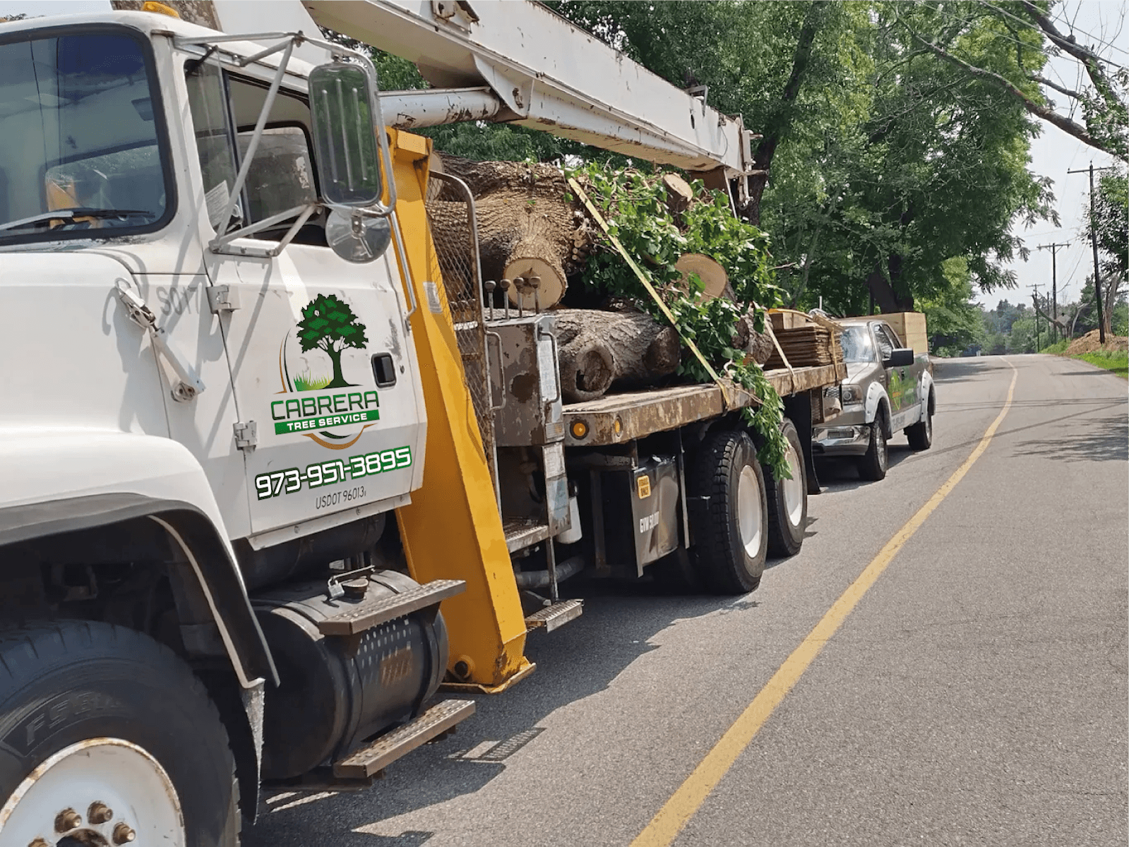 Cabrera Tree Services LLC