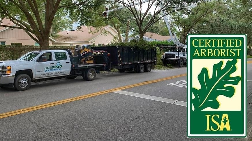 Southern Environmental Group