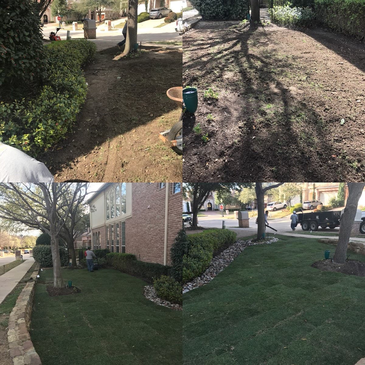 Torres Tree Service and Landscaping