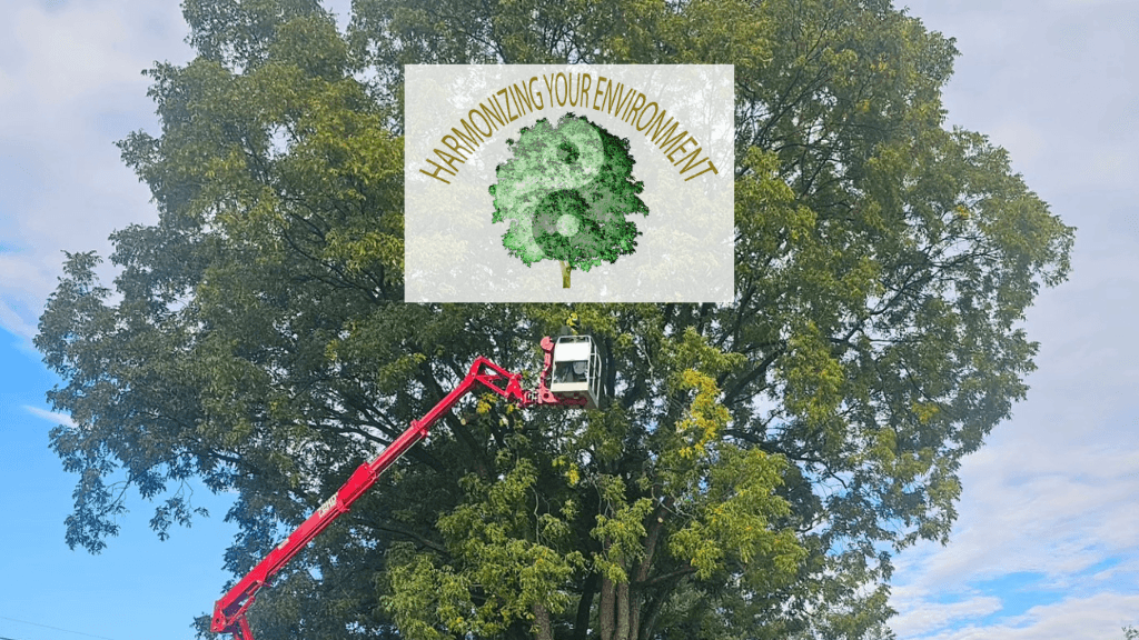 Harmony Tree Services
