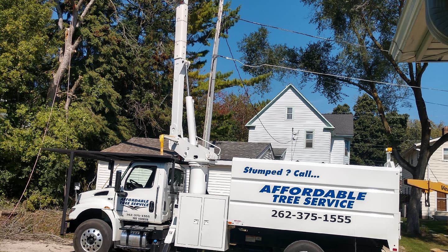 Affordable Tree Service