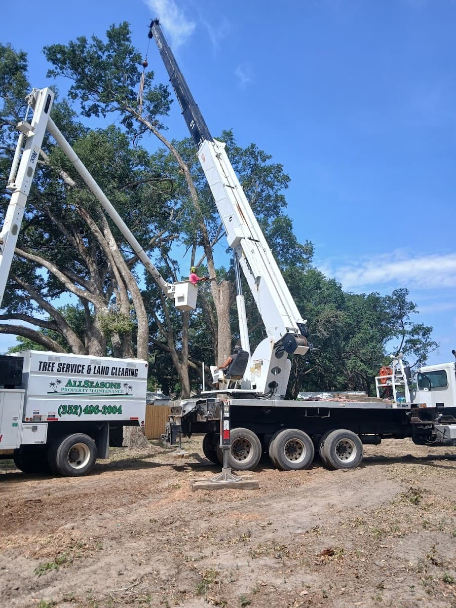 Allseasons Tree Service