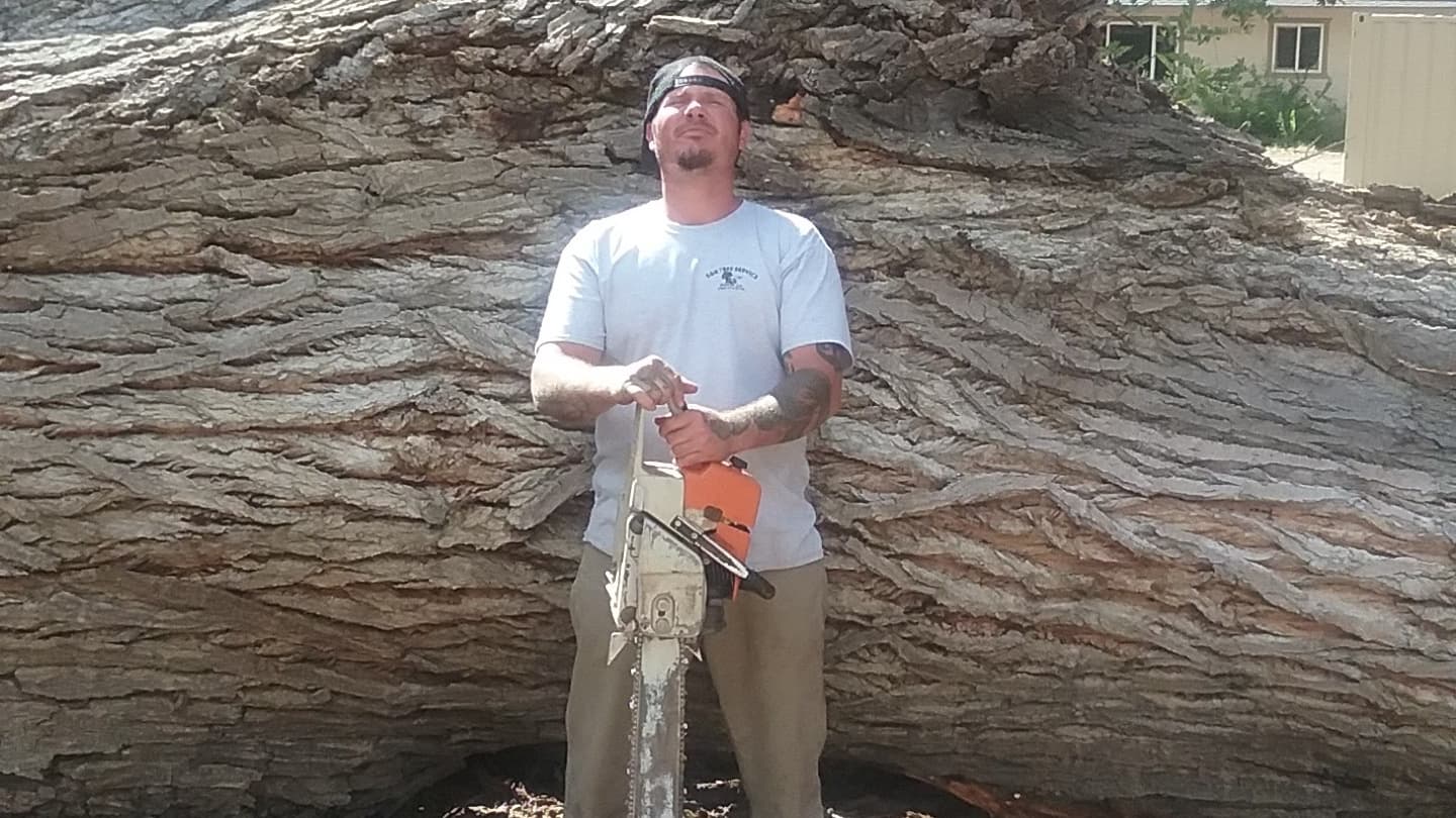 Campbell's Tree & Stump Service, LLC