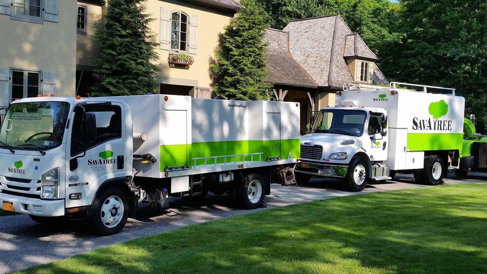 SavATree - Tree Service & Lawn Care