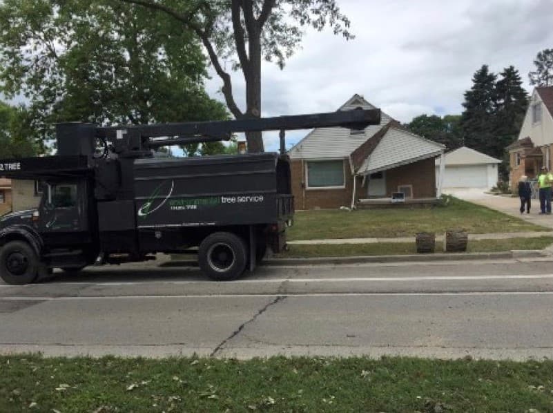 Environmental Tree Service