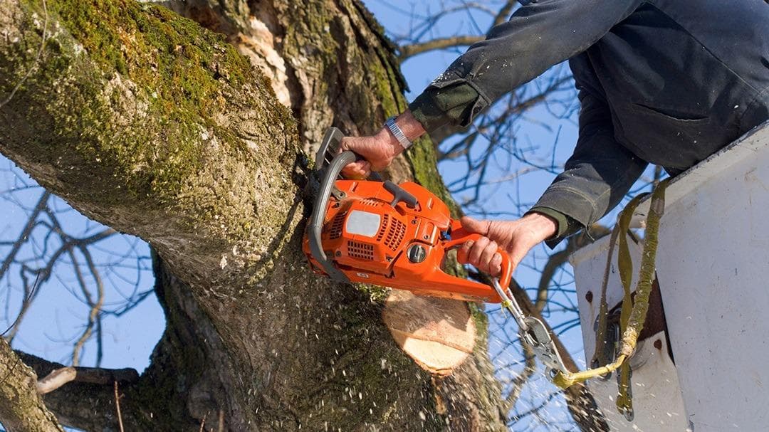 Oakridge Tree Service, LLC