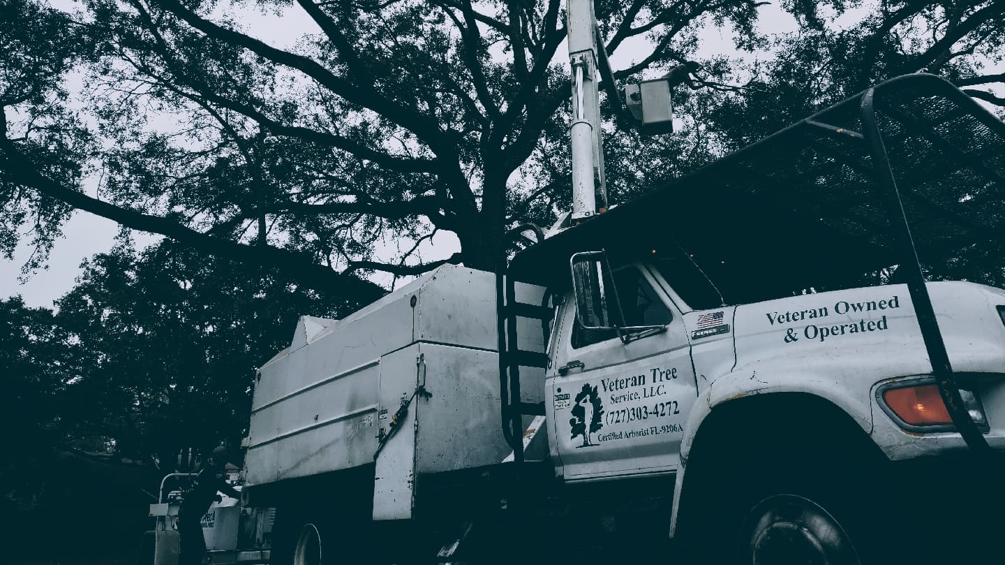 Veteran Tree Service
