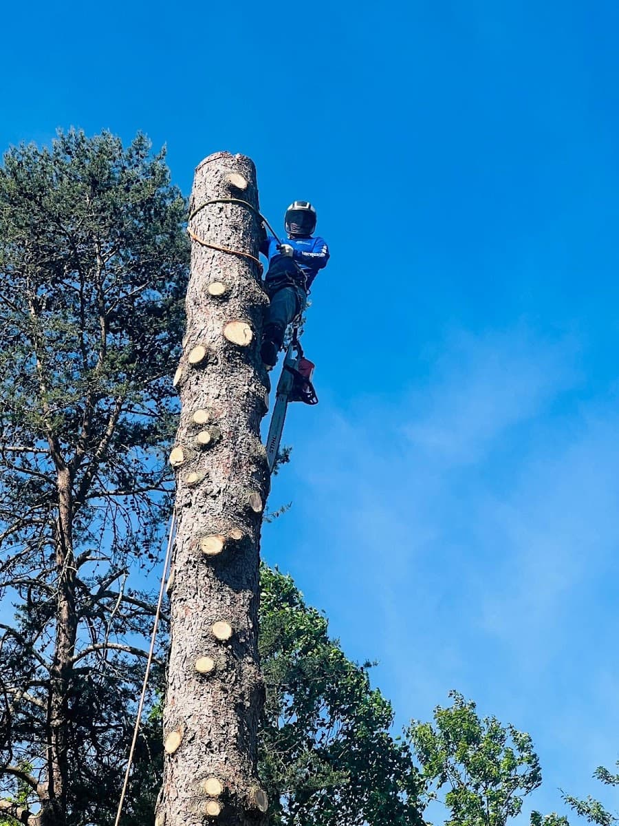 E.P.R. Tree & Multi Services LLC