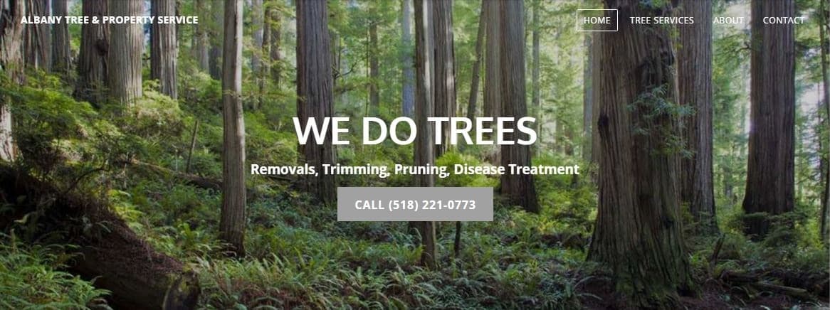 Albany Tree Service