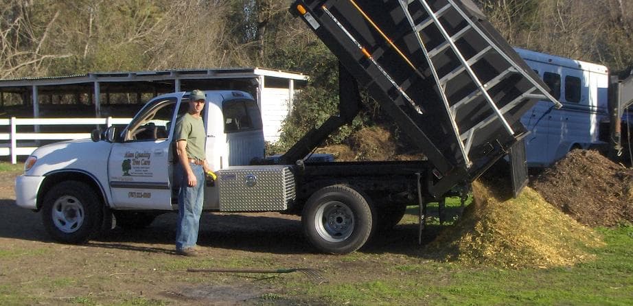 Alan Quality Tree Care