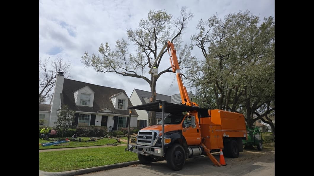 Best Choice Tree Service