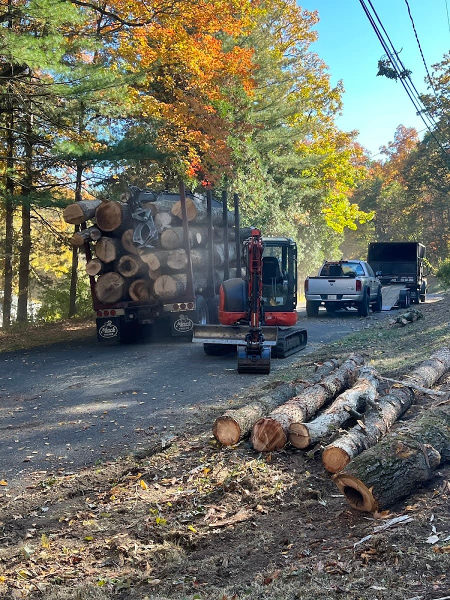 HD Tree Services and Landscaping llc