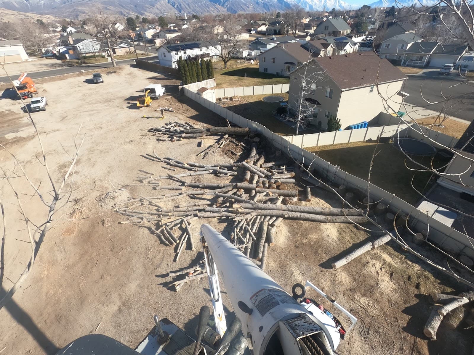 Andy's Stump And Tree Service