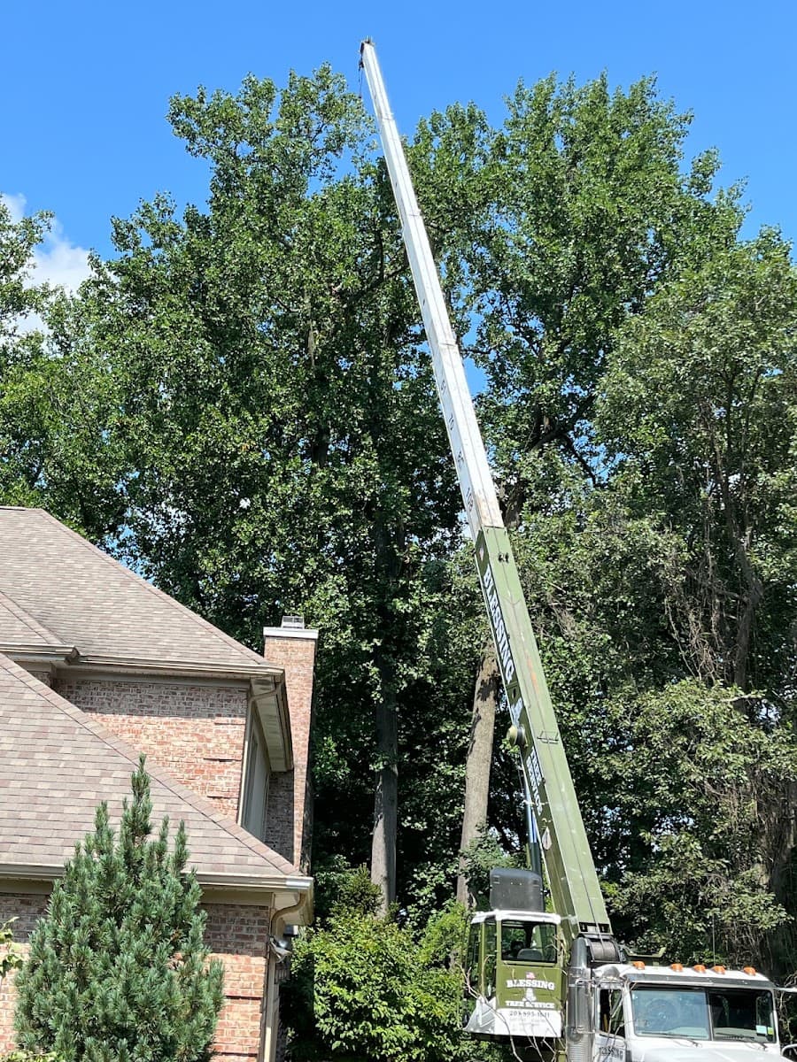 Blessing Tree Service NJ