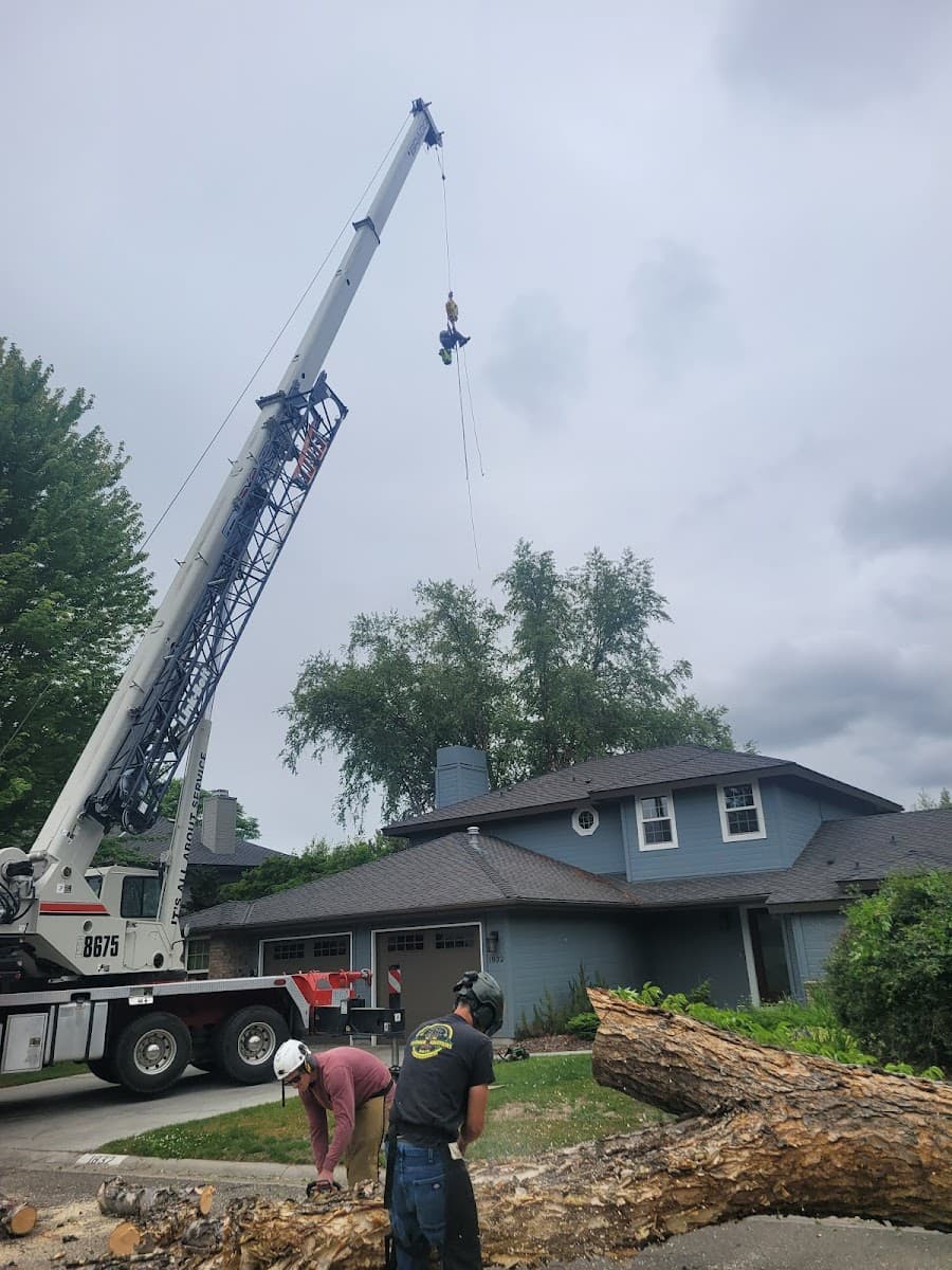 Outdoor Solutions Inc