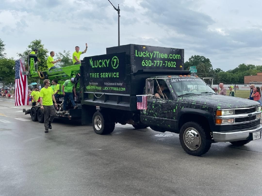Lucky 7 Tree Service