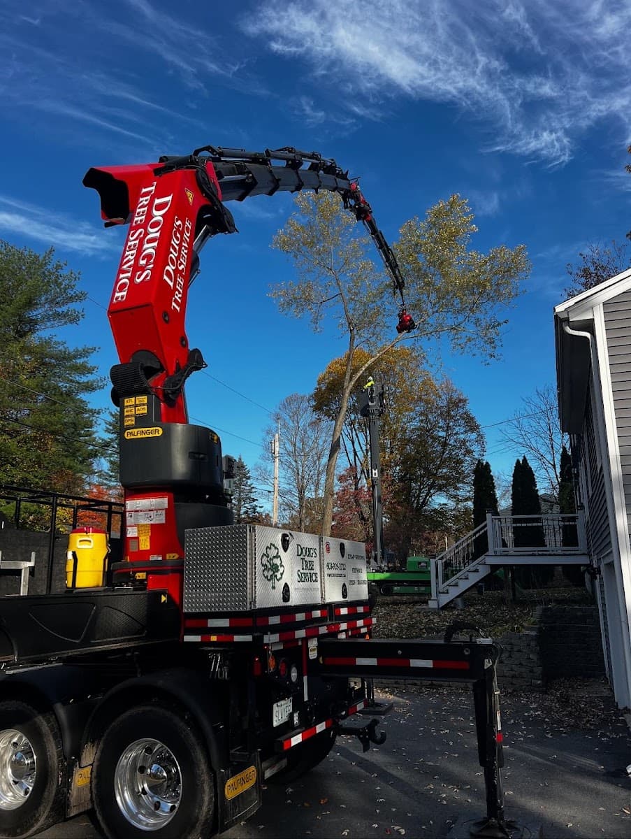 Doug's Tree Service