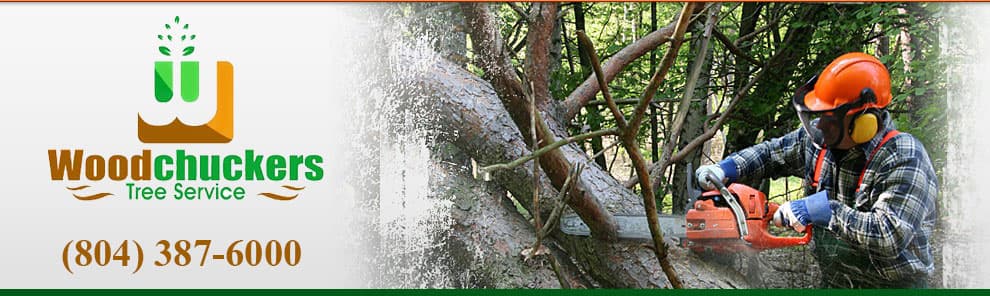 Woodchuckers Tree Service