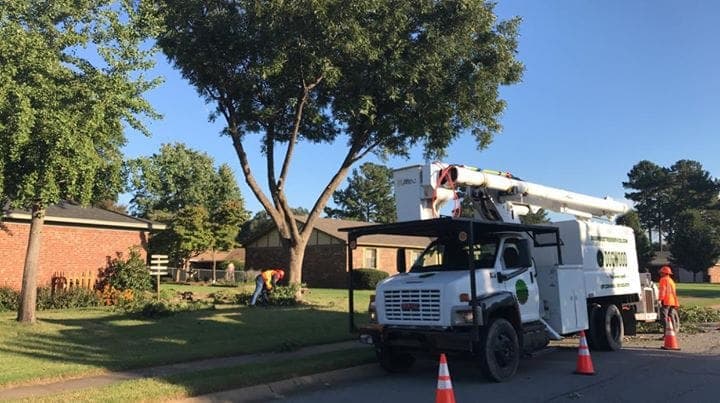 Dogwood Tree Service LLC