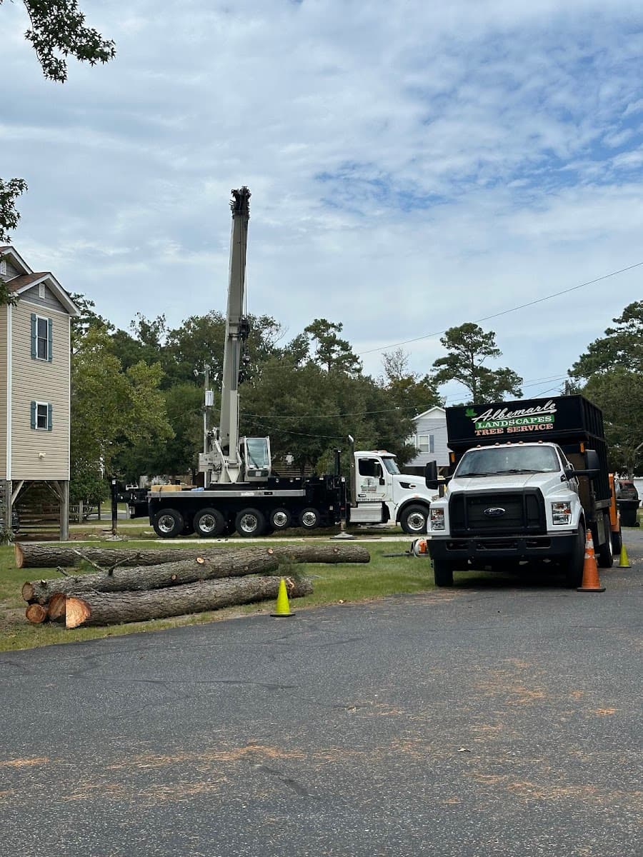 Albemarle Landscapes and Tree Service