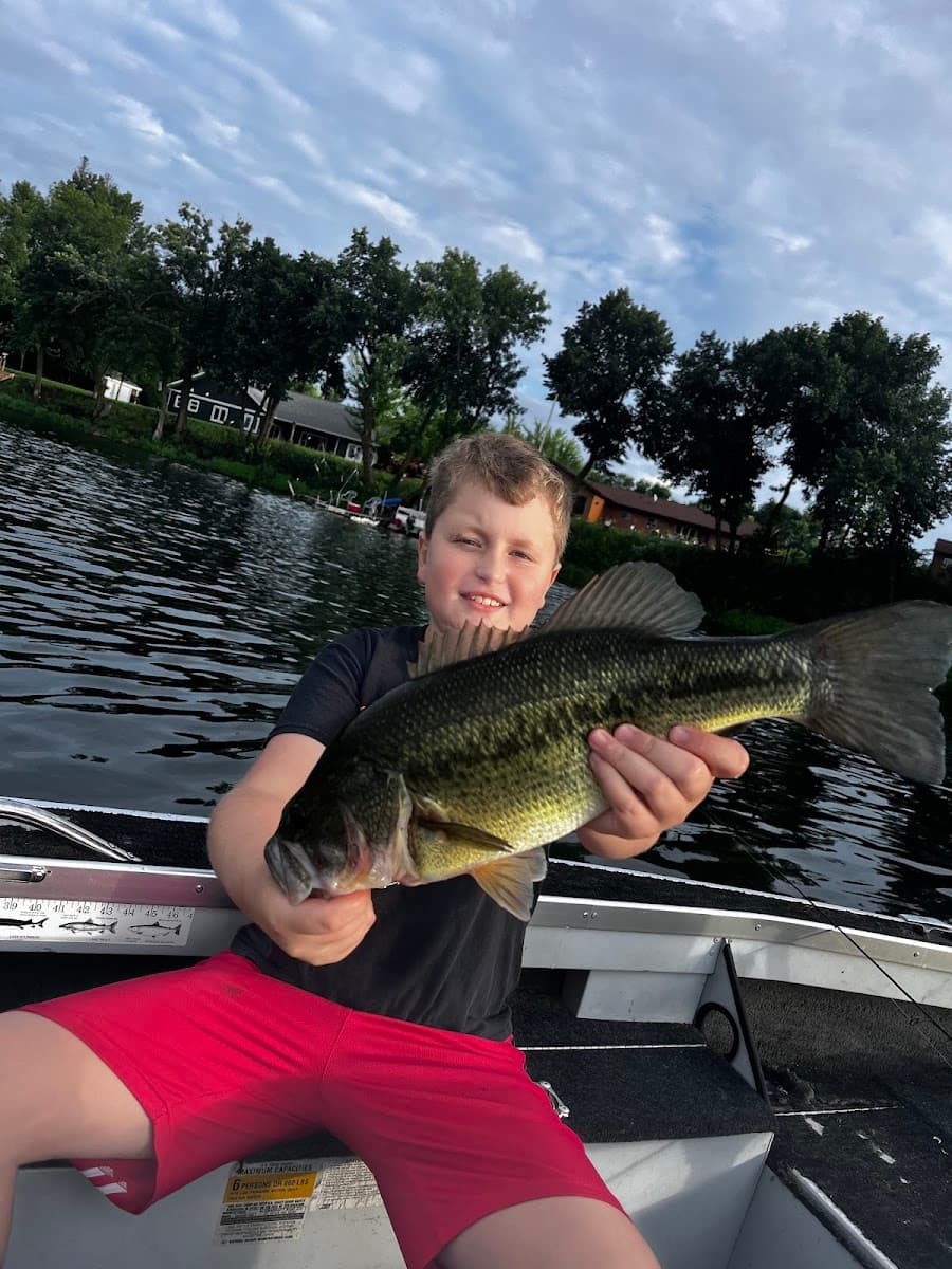 Bush's Best Tree Care and Removal