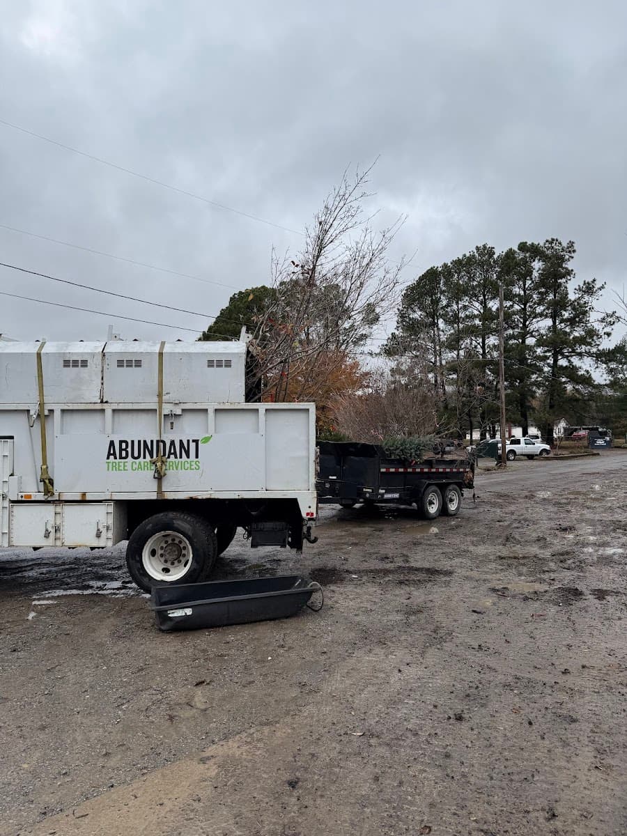 Abundant Tree Care Services