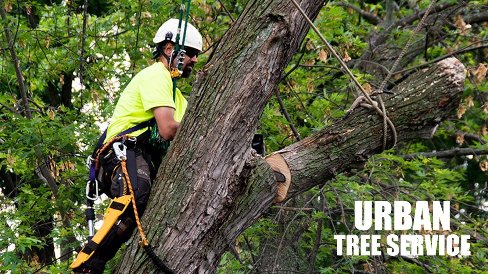 Urban Tree Service