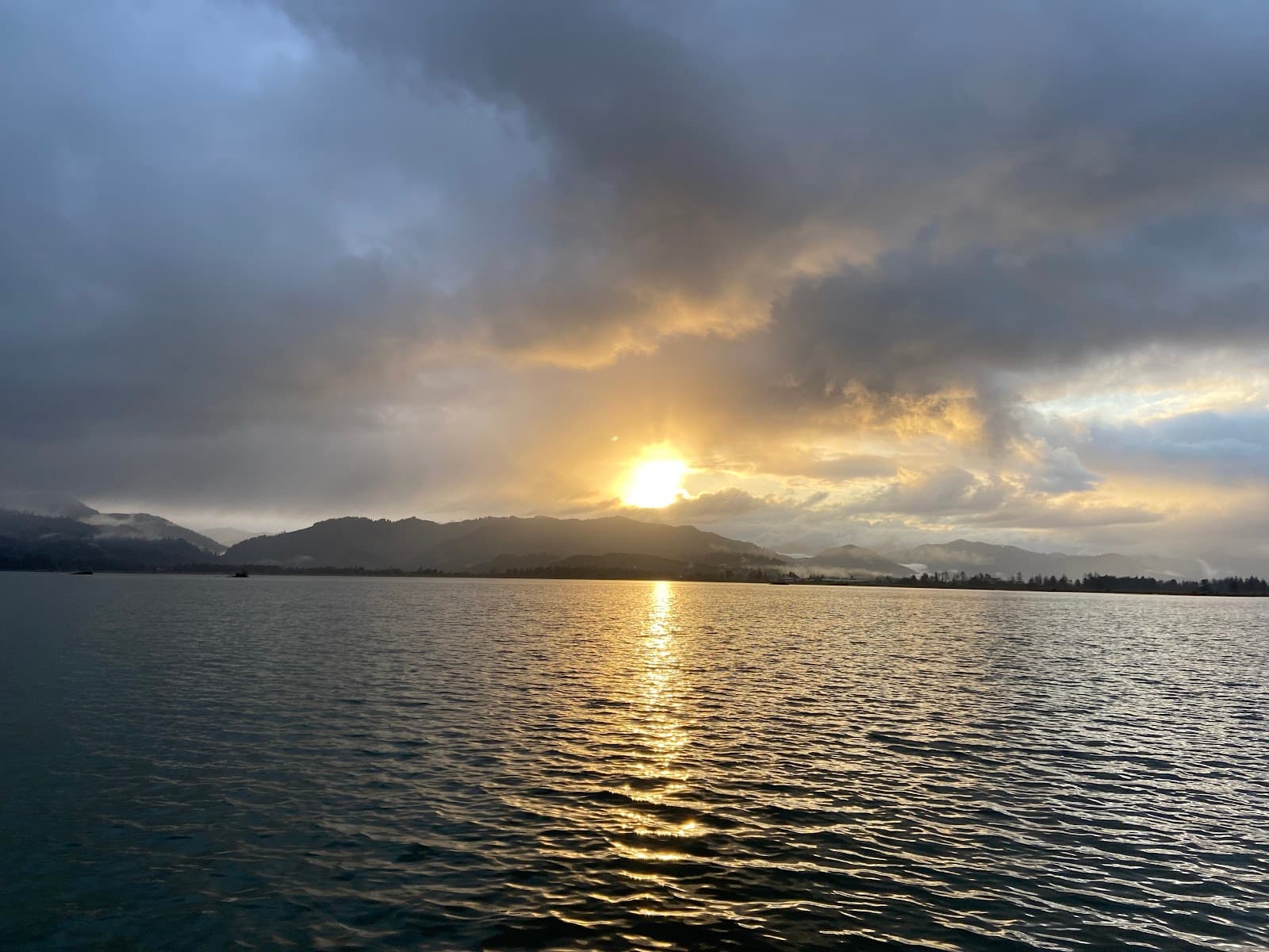 Tillamook Tree Service