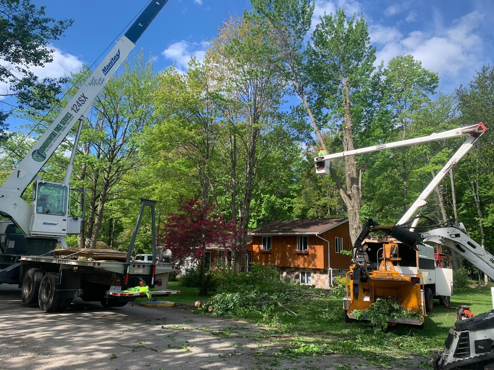 Dombrowski Tree Service